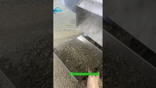 Test della macchina galleggiante per estrusore di pellet di mangime per pesci da 200 kg / h prima del confezionamento #fishfeedmachine