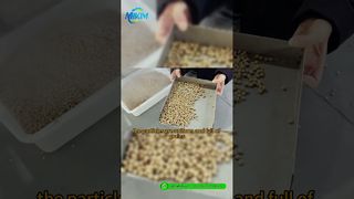 Linea di produzione di pellet di mangime per pesci DGP-85 | Introduzione e demo completa del processo#fishfeedproductionline