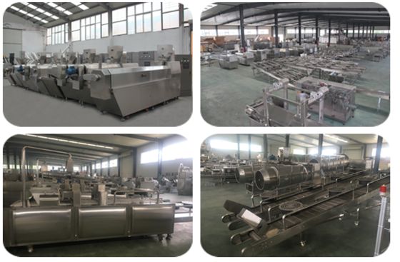 WEG / Siemens Motor Pet Treat Machine con vari componenti aggiunti