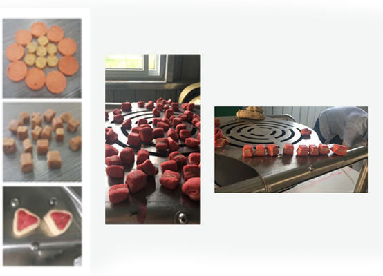 Snack a base di carne essiccata / Linea di produzione di alimenti per animali domestici / Macchina per la produzione di alimenti per animali domestici tramite estrusione a freddo