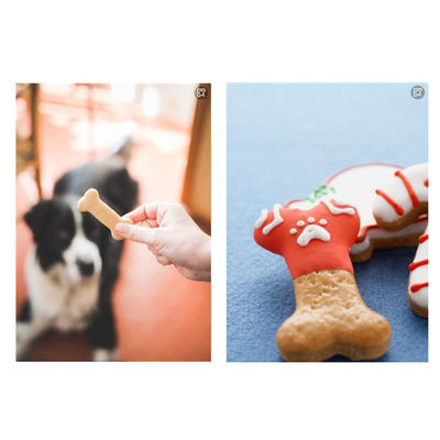 1000kg/8h Cane masticazione cura dentale Macchine per la trasformazione degli alimenti per animali domestici 12 mesi di garanzia