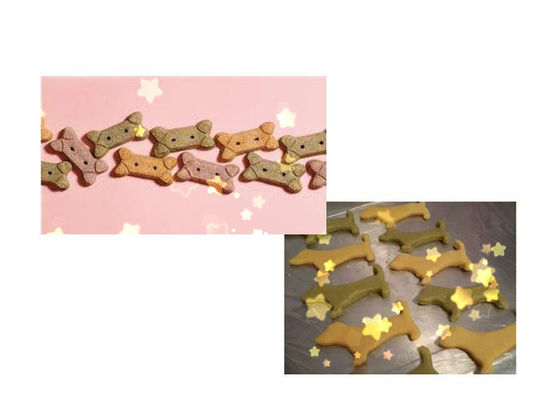 Macchina colorata di fabbricazione di biscotti del cane dell'acciaio inossidabile del Dott -280 con la prestazione stabile