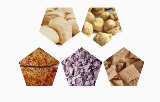 La linea di proteine di soia / Soya Chunks Making Machine Format AutoCAD