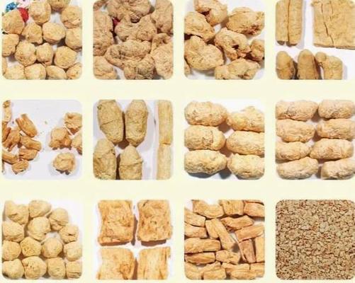 Linea di trattamento vegetariana dell'espulsore dello spuntino della fibra strutturata, progettazione unica, servizi 5-stars