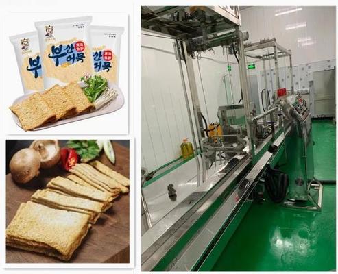 Estrusore a vite gemellato/macchina espulsore della soia con una garanzia di anno