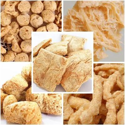 Macchina estrusore per pezzi di soia vegetale TVP TSP 110kw Certificato CE