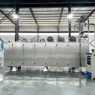 Linea di produzione continua per l'estrusione di alimenti per animali domestici, masticabili, per la produzione di snack per cani, 380V / 50Hz