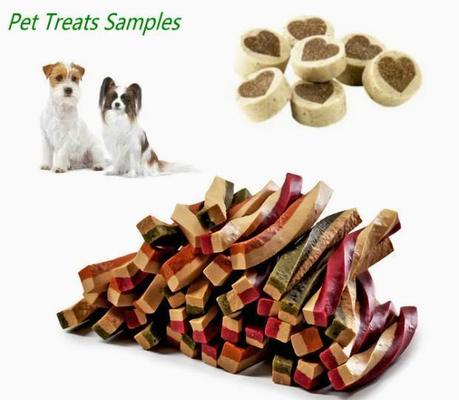 La macchina progettata dell'ossequio dell'animale domestico ha espulso cane che mastica la trasformazione dei prodotti alimentari