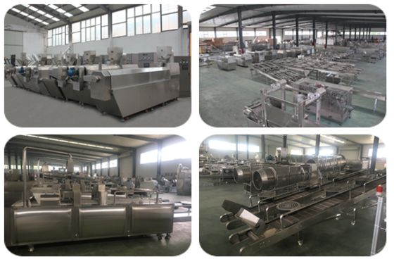 Linea a scatti 300-500kg/Hr di produzione alimentare dell'animale domestico di acciaio inossidabile