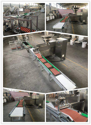 Linea striscia di produzione alimentare dell'animale domestico dell'acciaio inossidabile della carne che si forma con il sistema automatico del vassoio