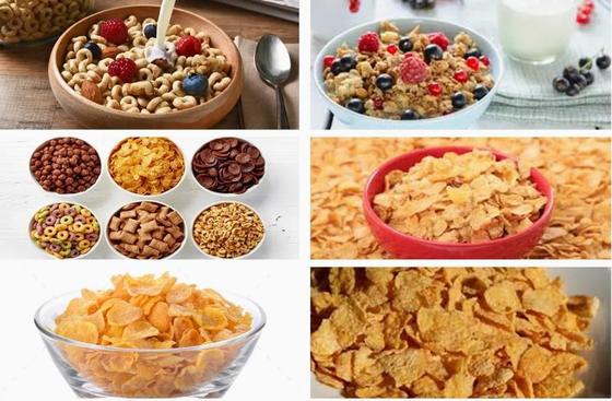 Nuova linea di lavorazione di fiocchi di mais in acciaio inossidabile