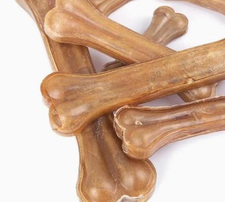 Cane che mastica l'osso di cane degli spuntini che fa macchina, impiantistica per la lavorazione degli alimenti dell'animale domestico