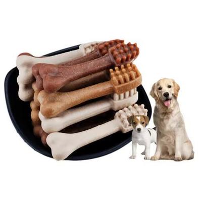 Il cane dentario che mastica l'osso che fa animale domestico a macchina/modellato fa un spuntino facendo la macchina